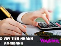 Vay tiền Agribank, khoản vay tới 300 triệu, 60 tháng